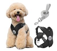 Pawaboo Puppy Harness and Lead Sets, Small Dog Harness X-Frame No Pull No Choke, Dog Vest Harness Adjustable for Small Medium Sized Dogs, Soft Breathable Pet Harness Walking Outing Outing (M, Black)
