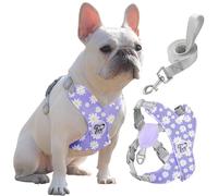 Pawaboo Puppy Harness and Lead Sets, Small Dog Harness X-Frame No Pull No Choke, Dog Vest Harness Adjustable for Small Medium Sized Dogs, Soft Breathable Pet Harness Walking Outing, L, Purple Daisy