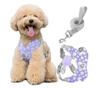 Pawaboo Puppy Harness and Lead Sets, Small Dog Harness X-Frame No Pull No Choke, Dog Vest Harness Adjustable for Small Medium Sized Dogs, Soft Breathable Pet Harness Walking Outing, M, Purple Daisy