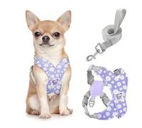 Pawaboo Puppy Harness and Lead Sets, Small Dog Harness X-Frame No Pull No Choke, Dog Vest Harness Adjustable for Small Medium Sized Dogs, Soft Breathable Pet Harness Walking Outing, S, Purple Daisy