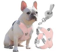 Pawaboo Puppy Harness and Lead Sets, Small Dog Harness X-Frame No Pull No Choke, Dog Vest Harness Adjustable for Small Medium Sized Dogs, Soft Breathable Pet Harness Walking Outing Outing (L, Pink)