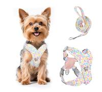Pawaboo Small Dog Harness and Leash Set, Puppy Harness X-Frame No Pull No Choke, Dog Vest Harnesses Adjustable for Small Medium Sized Dogs,Soft Breathable Pet Harnesses, XS, Colorful Leopard