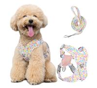 Pawaboo Small Dog Harness and Leash Set, Puppy Harness X-Frame No Pull No Choke, Dog Vest Harnesses Adjustable for Small Medium Sized Dogs,Soft Breathable Pet Harnesses, M, Colorful Leopard
