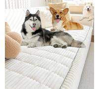 Pawcart Couch Cover, Paw Lounge Plush Pet Couch Cover, Non-Slip Washable CouchCovers for Pets, Ultra-Soft Fluffy Plush Sofa Protector for Dogs Cats (White,24 * 47 in)