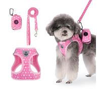 PAWCHIE Dog Harness and Leash, Soft Pet Harness, Reflective Adjustable Puppy Vest for Small Medium Dogs and Cats, No Choke Vest with Poop Bag Holder for Walking, Running