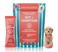 Pawer Water Dog Gut & Digestion Supplement (Salmon) - Loose Stool, Gas Relief, Maximize Nutrient Intake & Hydrate Deeper with Prebiotics, Probiotics & Electrolytes for Peak Power (5 Pack)