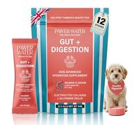 Pawer Water Dog Gut & Digestion Supplement (Salmon) - Loose Stool, Gas Relief, Maximize Nutrient Intake & Hydrate Deeper with Prebiotics, Probiotics & Electrolytes for Peak Power (12 Pack)