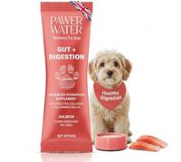 Pawer Water Dog Gut & Digestion Supplement (Salmon) - Loose Stool, Gas Relief, Maximize Nutrient Intake & Hydrate Deeper with Prebiotics, Probiotics & Electrolytes (6 Day Supply) - Upto 20kg Dog
