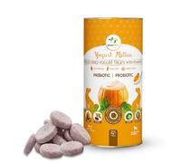 Pawfect Yogurt Melties Pre and Probiotic Dog Treats with Pumpkin, Beetroot, Cabbage & Fennel Seeds - Healthy Gut - Low Calories - Grain & Gluten Free - Reward or Training Treats (38g/1.34oz)