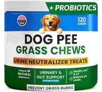 PAWFECTCHEW Green Grass Dog Chews w/Probiotics - Prevent Urine Burning Grass - Dog Pee Grass Spot Saver - Dog Urine Neutralizer for Lawn Treats, UT & Gut Health for Dogs, Lawn Burn from Dog Urine