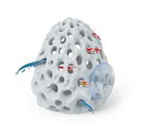 Pawfly Shrimp Cave, Shrimp Hides for Aquarium, Realistic Plastic Aquarium Coral Rock Decorations with Suction Cup, Betta Hideout Tank Accessories for Fish Tank Decor, Hiding & Resting