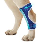 Pawfun Dog Leg Braces for Back & Front Legs- Dog Hock & Ankle Joint Brace for Weak Back Legs with 2 Metal Strips, Reflective Trim for Sprain, Injury, Arthritis, Wound Recovery,Blue,XL