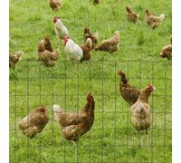 PawHut 0.6Mx10M Chicken Wire Mesh Rabbit Poultry Animal Fence PVC Coated Netting