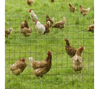 PawHut 1M x 10M Chicken Wire Mesh Roll Rabbit Poultry Animal Fence PVC Coated Steel Metal Garden Netting Fencing
