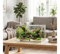 PawHut 24L Fish Tank, Glass Aquarium, Small Fish Tank with Protective Base Mat, for Shrimps, Turtles, Transparent, 40 x 25 x 25 cm