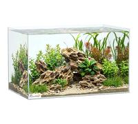 PawHut 43L Fish Tank, Glass Aquarium, Small Fish Tank with Protective Base Mat, for Shrimps, Turtles, Transparent, 50 x 30 x 30 cm