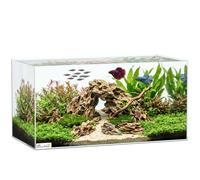 PawHut 51L Fish Tank with Protective Base Mat, Transparent, 60 x 30 x 30 cm