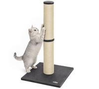 Pawhut Cat Scratching Post, 80Cm Tall Cat Scratch Post For Indoor Kittens In Dark Grey Dark Grey