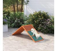 PawHut Dog Agility Equipment, Agility Ramp for All Breeds for Garden - 173 cm x 59 cm x 66 cm - Fie wood - 1