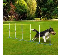 PawHut Dogs Agility Training Polyethylene Weave Poles White/Blue