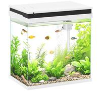 PawHut Fish Tank 14L Glass Aquarium with Filter System for Goldfish, White
