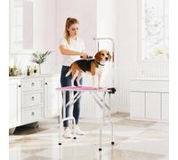 Pawhut Foldable Dog Grooming Table Adjustable Arm For Small Dogs 81X49X80 Cm