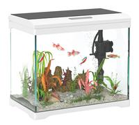 PawHut 27L Fish Tank, Glass Aquarium with Filter System, LED Light, Water Pump, Fish Tank Starter Kits for Betta, Goldfish, Shrimps, White