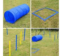 PawHut Pet Agility Set 6x Steel Stakes, 4x Spikes, 4x Lunch Box Spikes Blue, Yellow