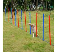 PawHut Pet Agility Set 12x Steel Stakes, 2x Spikes, 1x String. Blue, Red