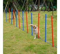 Pawhut Pet Agility Set Training Play Kit Dog Hoop Poles Tunnel Obedience In Blue Blue