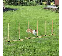PawHut Pet Agility Training Equipment Orange, White