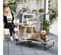 PawHut Raised Dog Bed with Breathable Mesh for Large Dogs, Light Grey