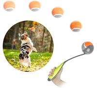 PAWISE Dog Ball Launcher - 12.2'' Dog Fetch Toy with 2.3'' Tennis, Portable Ball Thrower for Small to Medium Dogs, Indoor & Outdoor Use, Durable & Easy to Clean