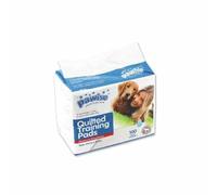 PAWISE - PEE PADS 100PCS 33x45CM - (638.2004)