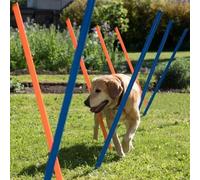 Pawise Pet Dogs Outdoor Games Agility Exercise Training Equipment Agility Starter Kit Jump Hoop Hurdle Bar 12PCS/116CM