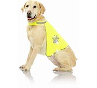 Pawise Reflective Vest, Size Large