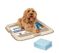 Pawise Upgraded Dog Pee Pad Holder for Puppy, Puppy Pad Holder Tray, Pet Training Pee Pad, Indoor Potty Tray for Senior Dogs, Dog Toilet for Newborn Puppies, Includes 4 Pee Pads,23.5" x 23.5"