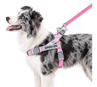 Paworld Dog Harness and Lead Set, Anti Pull Dog Harness Small, Service Dog Vest with Dog Lead and 4 Reflective Patches, 2 Buckles + Safety Lock, No-Choke Harness for Outdoor Walking (Pink, XS)