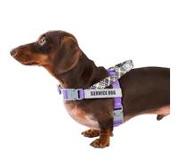 Paworld Dog Harness, Anti Pull Dog Harness Small, Service Dog Vest with 4 PCS Reflective Patches, 2 Buckles with Safety Lock, Adjustable No-Choke Harness, for Outdoor Training Walking (Purple, S)
