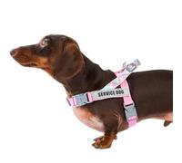 Paworld Dog Harness, Anti Pull Dog Harness Small, Service Dog Vest with 4 PCS Reflective Patches, 2 Buckles with Safety Lock, Adjustable No-Choke Harness, for Outdoor Training Walking (Pink, S)
