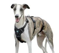 Paworld Escape Proof Dog Harness, Anti Pull Dog Harness, 3 Point Greyhound Harness, Adjustable No Escape Running Vest with Front Clip for Whippet Medium Large Breeds Training (Black, M)
