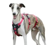 Paworld Escape Proof Dog Harness, Anti Pull Dog Harness, 3 Point Greyhound Harness, Adjustable No Escape Running Vest with Front Clip for Whippet Medium Large Breeds Training (Rose Red, L)