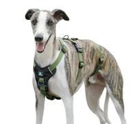 Paworld Escape Proof Dog Harness, Anti Pull Dog Harness, 3 Point Greyhound Harness, Adjustable No Escape Running Vest with Front Clip for Whippet Medium Large Breeds Training (Army Green, L)