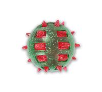 Paws Behavin' Badly Spikey Dog Play Toy Assorted Styles
