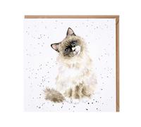 Paws for Thought' Cat Card