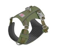 Paws & Whiskers Breathable Dog Harness Quick-Dry in 2 Hours, No-Pull, Soft & Durable, Adjustable Vest for Small, Medium & Large Dogs (Green, S)