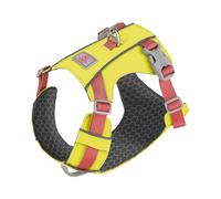 Paws & Whiskers Breathable Dog Harness Quick-Dry in 2 Hours, No-Pull, Soft & Durable, Adjustable Vest for Small, Medium & Large Dogs (Neon Yellow, S)