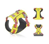 Paws & Whiskers Breathable Dog Harness Quick-Dry in 2 Hours, No-Pull, Soft & Durable, Adjustable Vest for Small, Medium & Large Dogs (Neon Yellow, M)