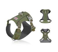 Paws & Whiskers Breathable Dog Harness Quick-Dry in 2 Hours, No-Pull, Soft & Durable, Adjustable Vest for Small, Medium & Large Dogs (Green, L)