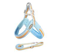 Paws & Whiskers No-Pull Dog Harness and Leash Set for Small & Medium Dogs Soft Breathable Mesh, Adjustable Chest Strap, Easy-On Step-In Vest, Reflective Safety Strips for Walking Training (Blue, L)